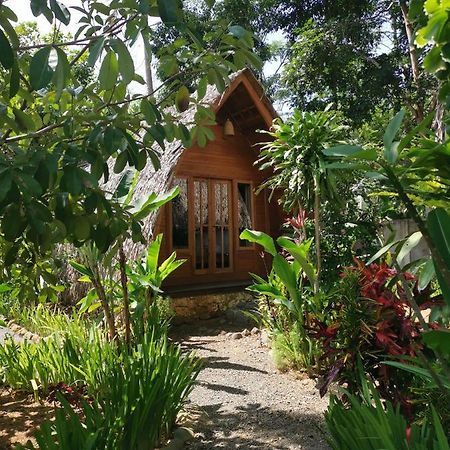 Coconut Tree Cottages Batukaras Екстериор снимка